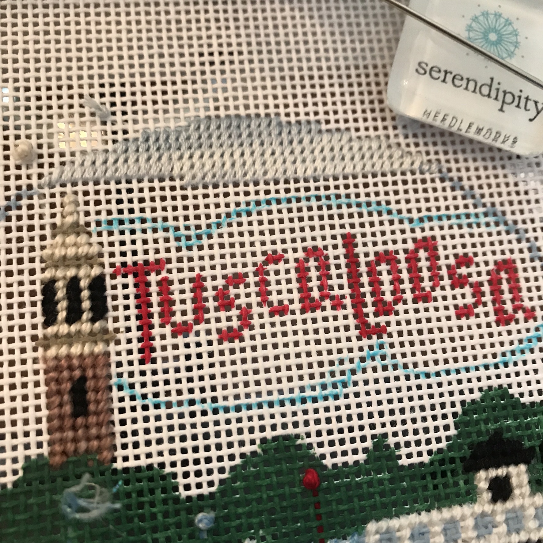 Back to Stitches for a Needlepoint Sky Serendipity Needleworks